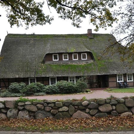 Ferienwohnung Reit- und Bauernhof Klaucke Trebel Exterior foto