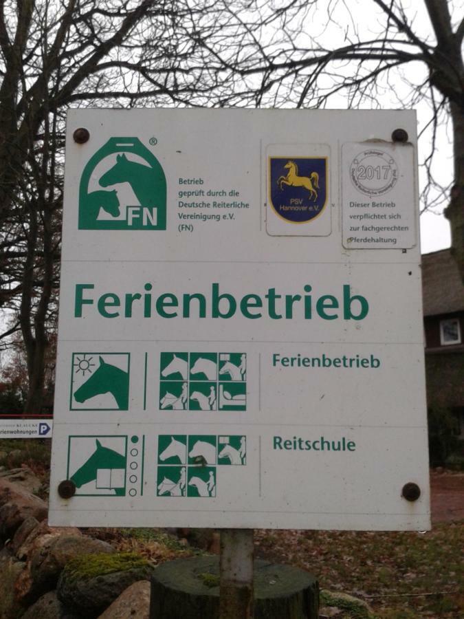 Ferienwohnung Reit- und Bauernhof Klaucke Trebel Exterior foto